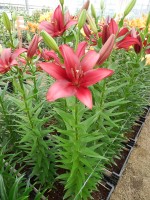 [5078 Constable No01.JPG]